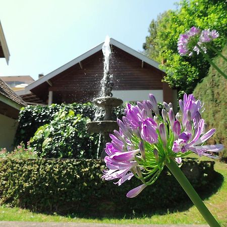 Willa Casa Em Campos do Jordão Zewnętrze zdjęcie